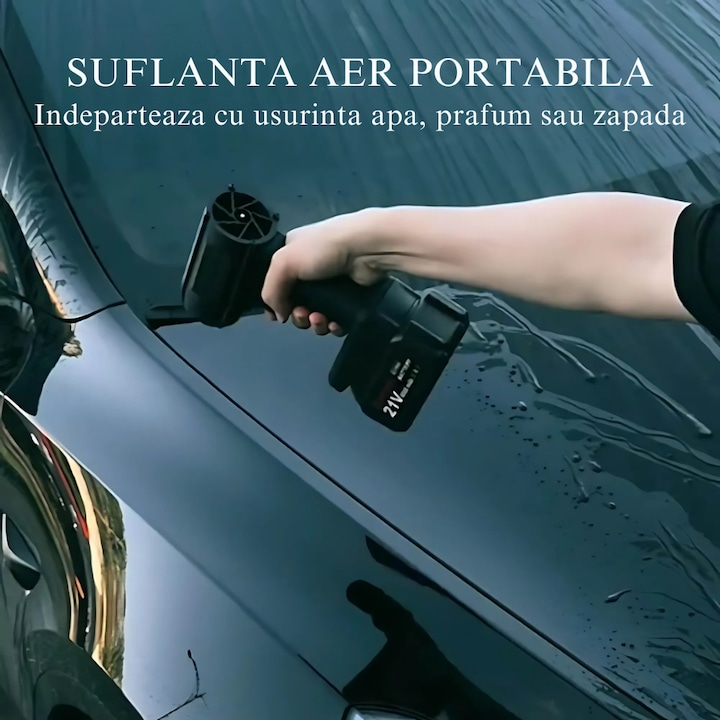Suflanta Portabila 48V cu 2 Acumulatori – Putere Mare pentru Indepartearea Eficienta a Prafului, Apei si Zapezii, Debit 555 m³/h, Design Compact si Robust, Culoare Negru